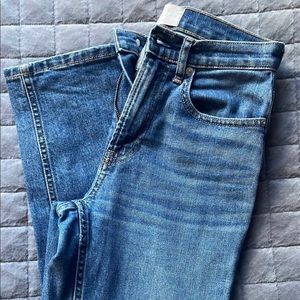 Everlane cheeky jean 24